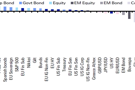 Emerging or Submerging Markets?